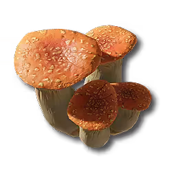中红柱状菌