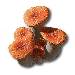 重红柱状菌