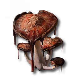 血菌