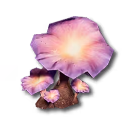 星门菌