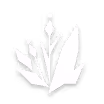 噬冬