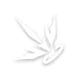 风矢穿林